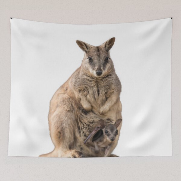 Item preview, Mum and Joey Rock Wallabies  designed and sold by Juergen Freund.
