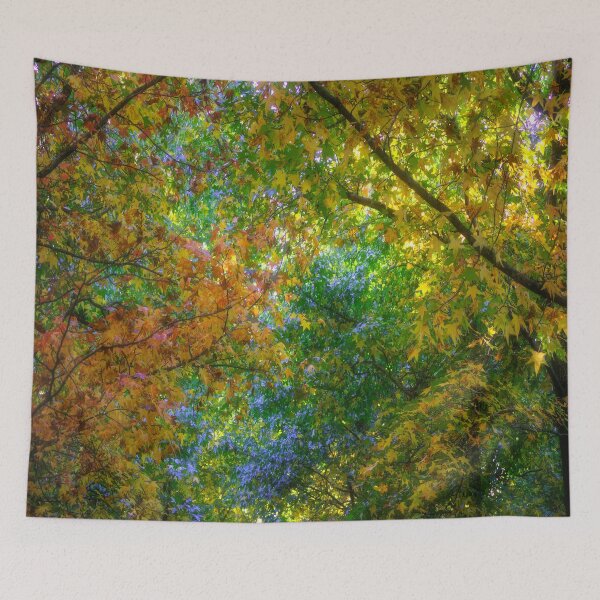 Item preview, Autumn Canopy - Mount Wilson NSW designed and sold by Salieri1627.