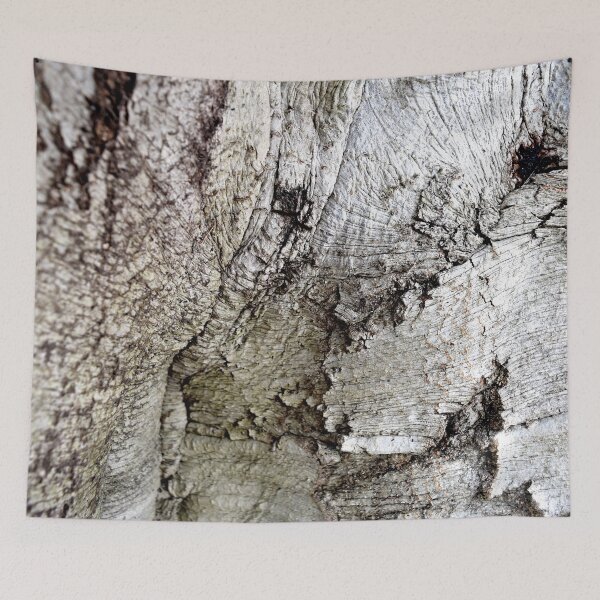 Item preview, European Beech Tree Trunk designed and sold by umeimages.