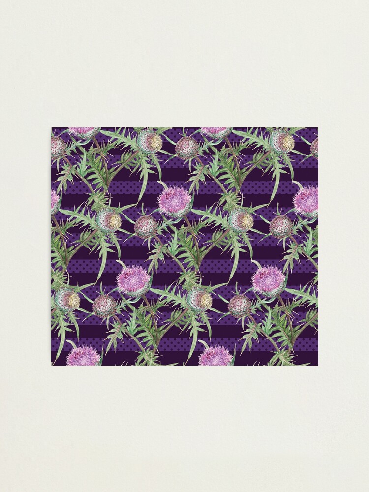 Lámina fotográfica «Flores de cardo violeta y rayas púrpuras» de  SVZOLOTAREVA | Redbubble