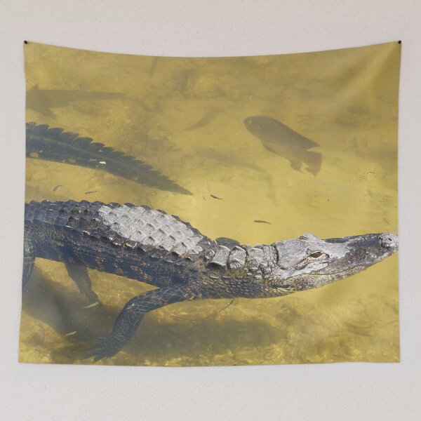 Item preview, Alligator N Fish designed and sold by Scott Dovey.
