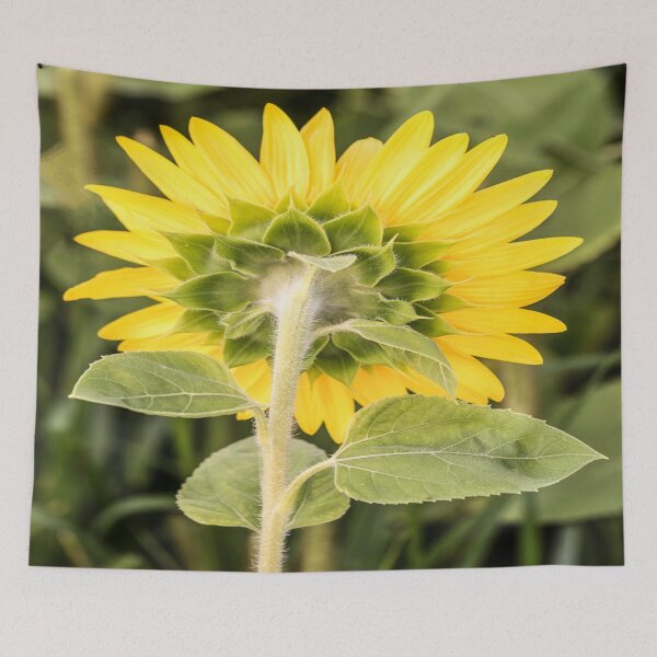 Item preview, Behind The Scenes designed and sold by Cathy Donohoue.
