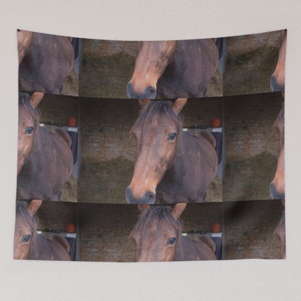 Item preview, Brown horse in a stable designed and sold by FabPosters4Less.
