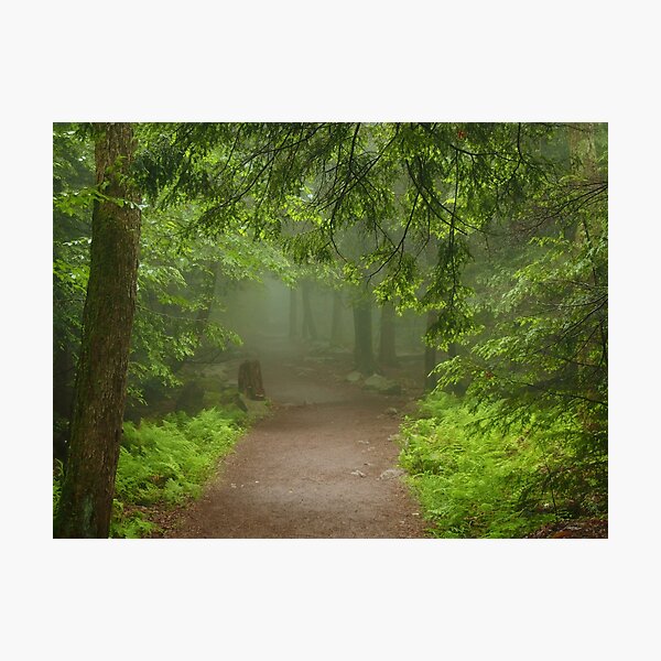 Item preview, Misty path into the mysterious unknown designed and sold by FabPosters4Less.