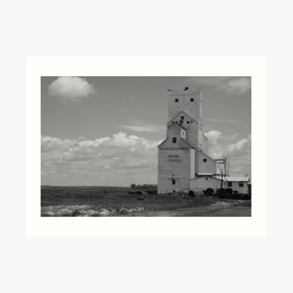 Consul Elevator Art Print