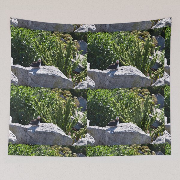 Item preview, Welcoming Puffin designed and sold by FabPosters4Less.