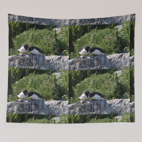 Item preview, Two birds inspecting something designed and sold by FabPosters4Less.