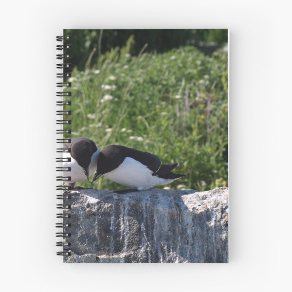 Item preview, Two birds inspecting something designed and sold by FabPosters4Less.