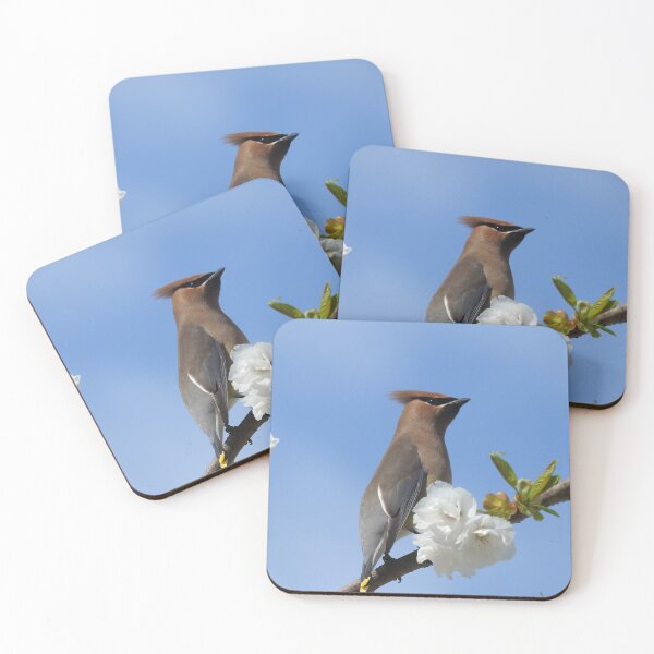 Item preview, Waxwing in flowered tree designed and sold by RichImage.