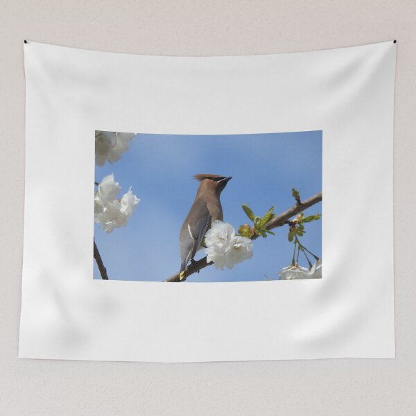 Item preview, Waxwing in flowered tree designed and sold by RichImage.