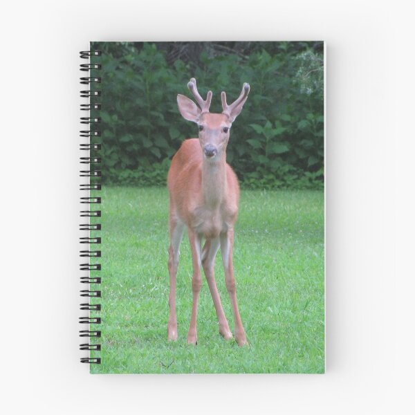 Item preview, Young Buck ~ For Viv (vigor) designed and sold by Ginny York.