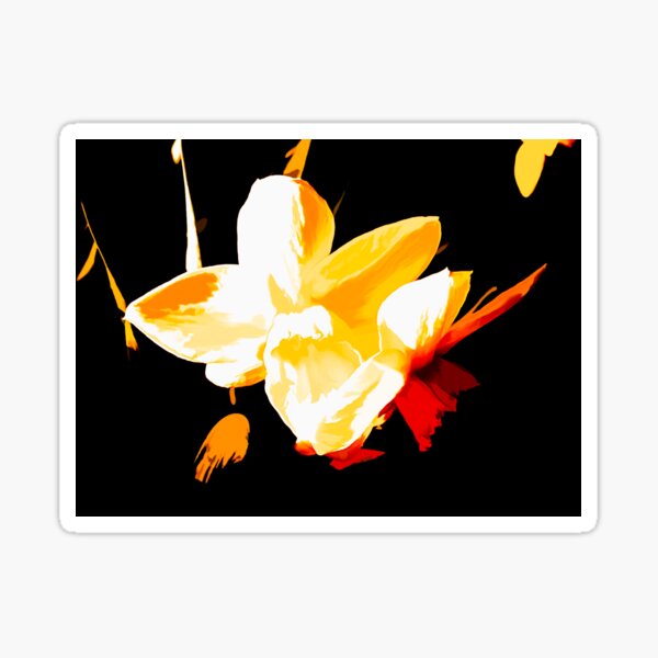 Artikel-Vorschau von Die Freundschaftsblume Die schöne Narzisse, designt und verkauft von DDGolden.
