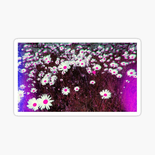 Psychedelic Trippy Blue and Pink Daisies Sticker