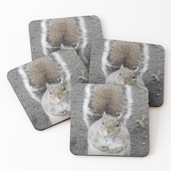 Item preview, Chubby Fluffy Squirrel designed and sold by RichImage.