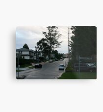 Suburbia Metal Print