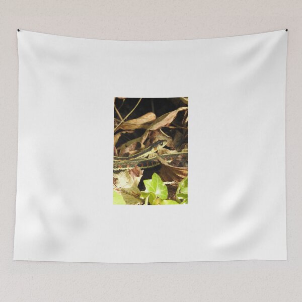 Item preview, The Snake is waiting for you designed and sold by RichImage.