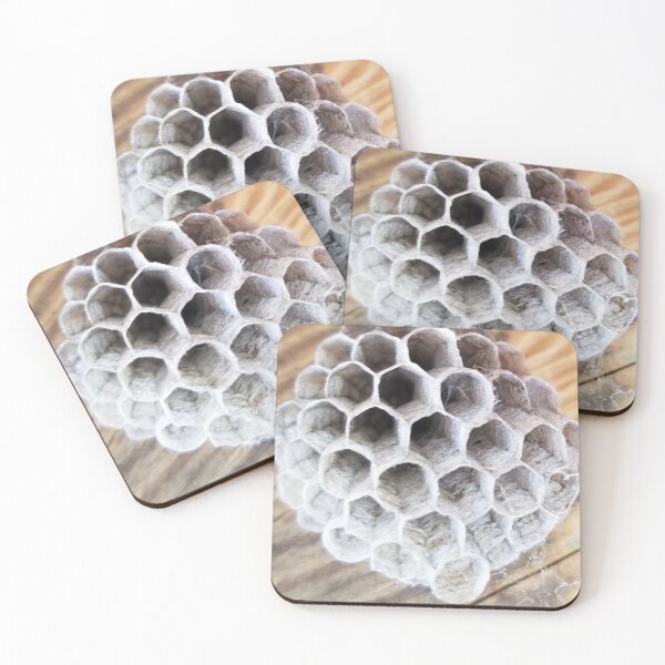 Item preview, Paper Wasp Nest designed and sold by MooseDogPhotos.