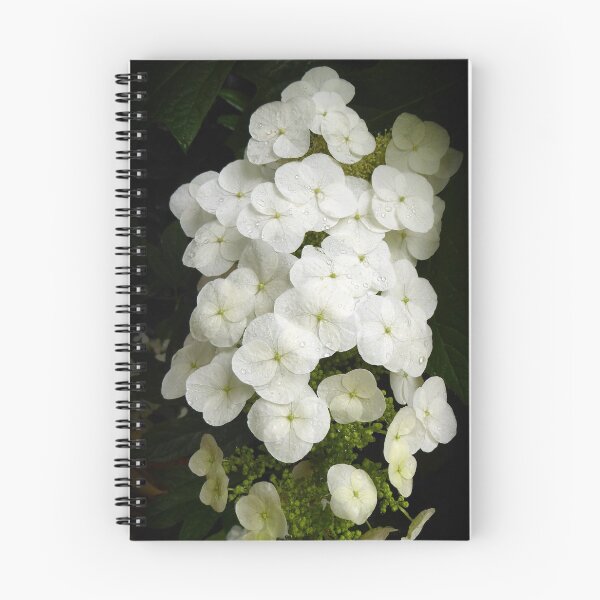 Item preview, Oakleaf Hydrangea designed and sold by Todays a Good Day.
