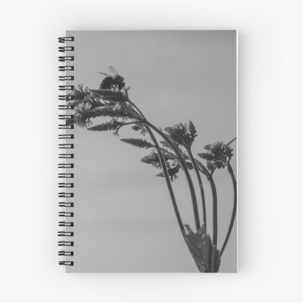 Item preview, ¿Me puedes ver? ¿Estoy claro para ti? designed and sold by Adam Kuehl.