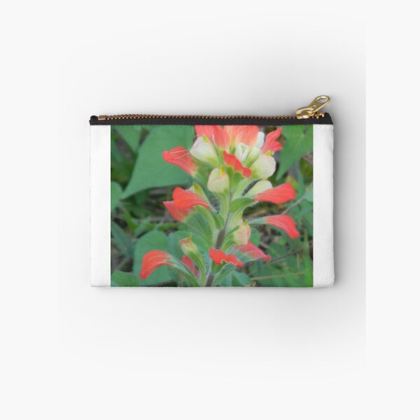 Item preview, Indian Paintbrush in JULY???? designed and sold by Navigator.