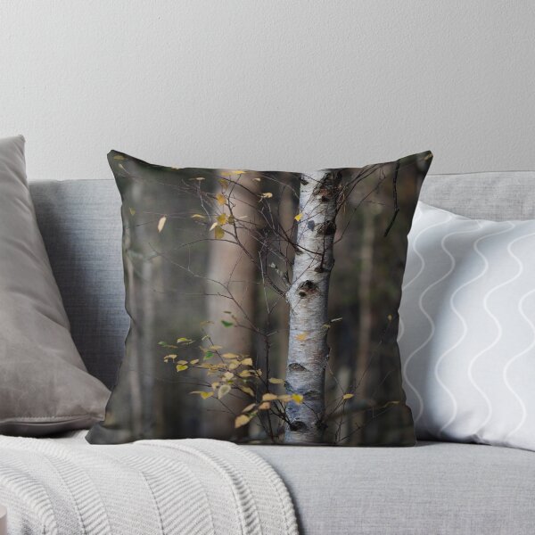 Item preview, silver birch in autumn designed and sold by codaimages.