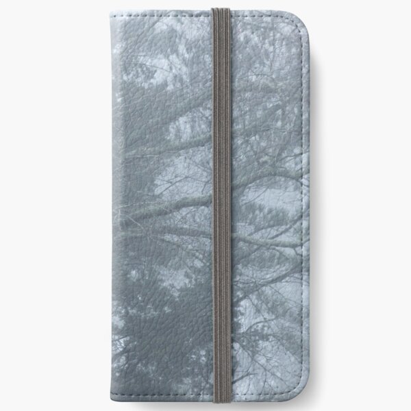 Foggy morning iPhone Wallet