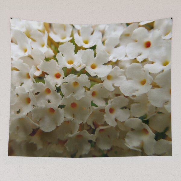 Item preview, White Buddleja designed and sold by Todays a Good Day.