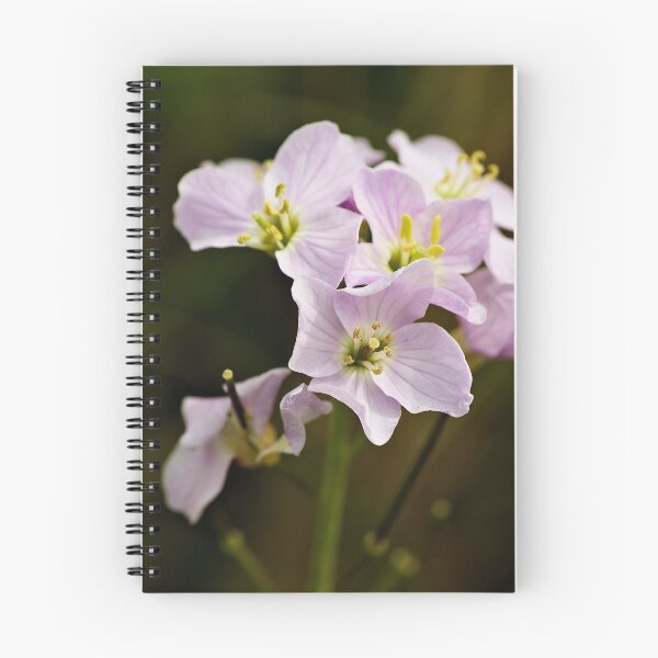 Item preview, Meadow Flower designed and sold by KGibbs.