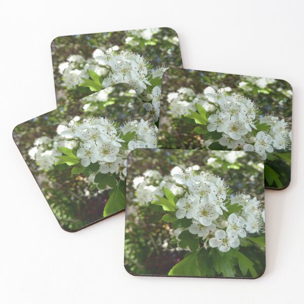 Item preview, Hawthorn blossoms designed and sold by Todays a Good Day.