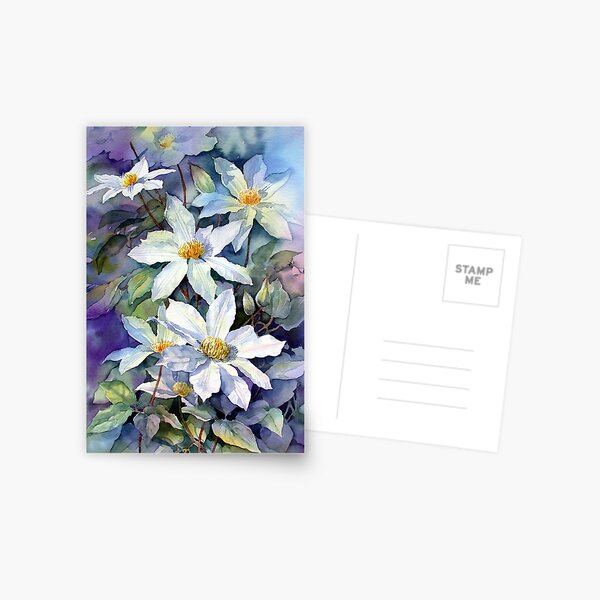 May Morning Clematis Postcard