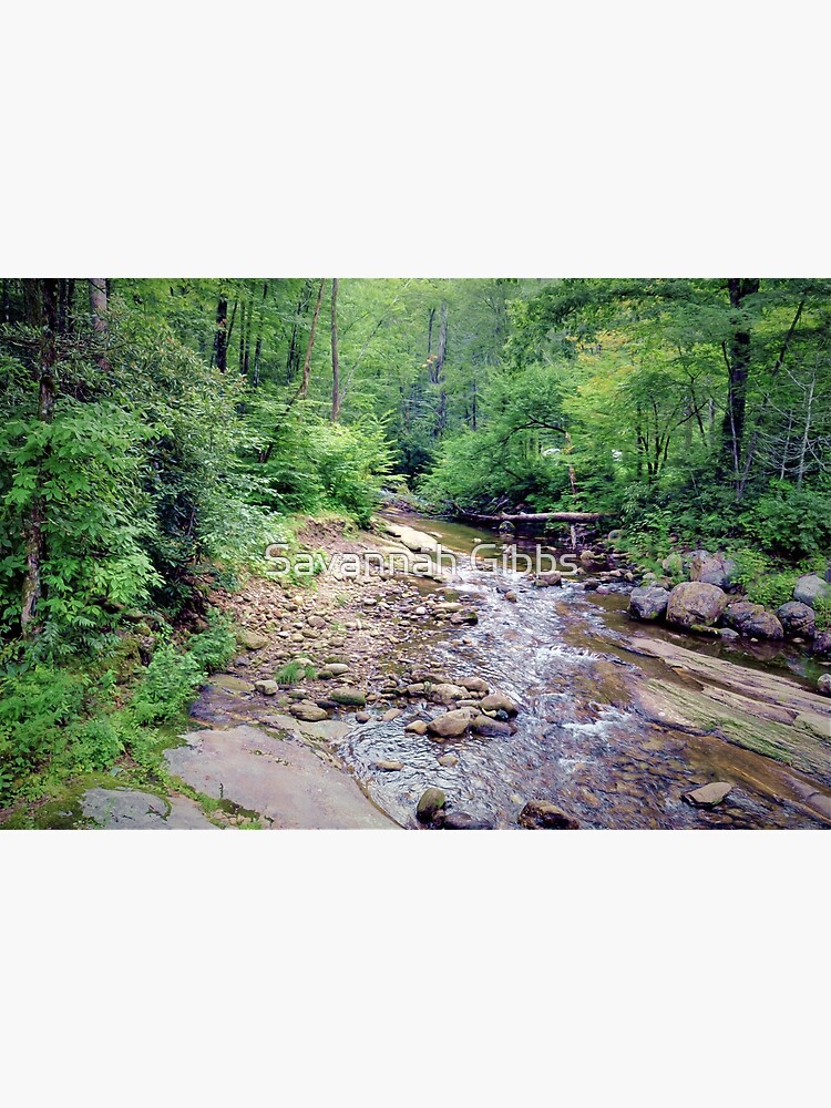 "Pisgah National Forest," Poster by venny Redbubble