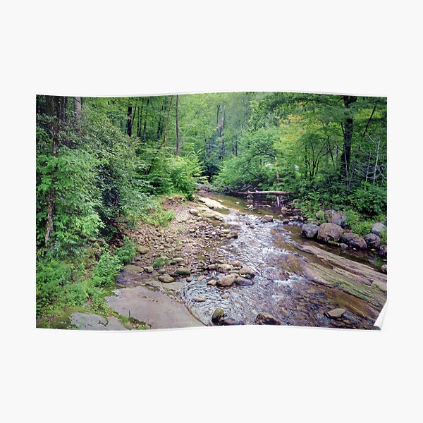 "Pisgah National Forest," Poster by venny Redbubble