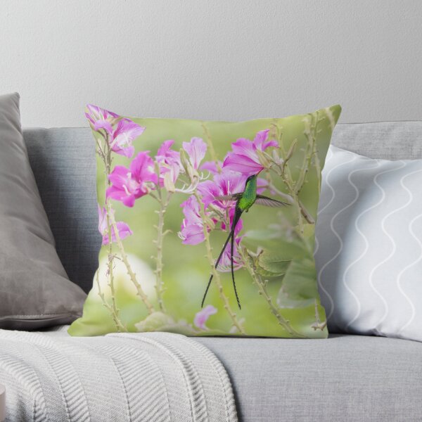 Sipping nectar - Doctor Bird Throw Pillow