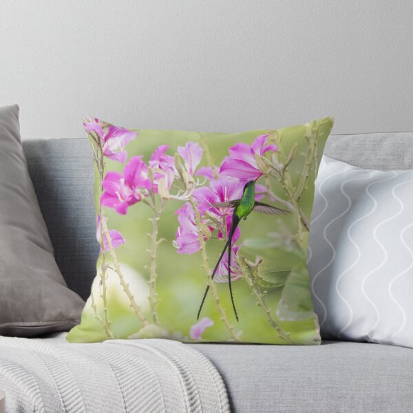 Item preview, Sipping nectar - Doctor Bird designed and sold by Rachel Lee Young - Land of the Hummingbird.