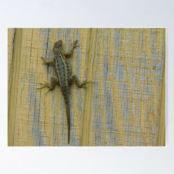 Item preview, Climbing the wall designed and sold by MChabalaRussell.