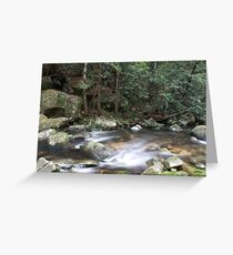 Washpool National Park, NSW, Australia Greeting Card