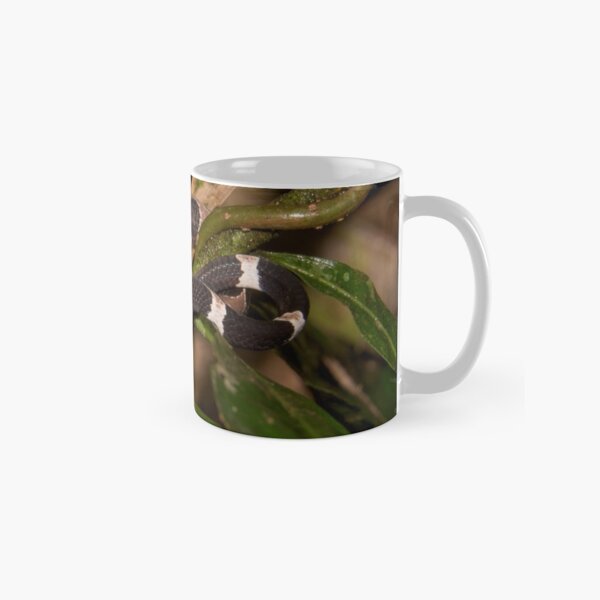 Catesby's Snail-eater, Peru Classic Mug