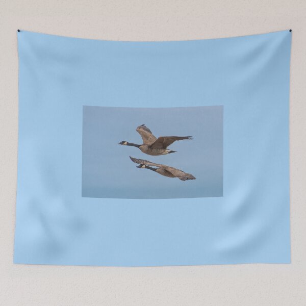 Item preview, Nonsyncro Pairs designed and sold by Sylvia Labelle.