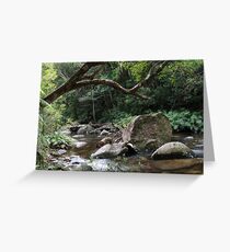 Washpool National Park Greeting Card