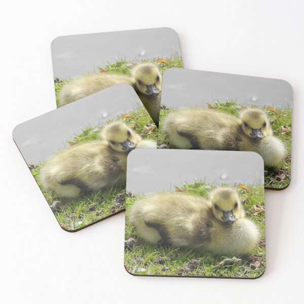 Item preview, Gosling designed and sold by RichImage.