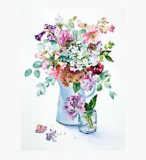 Phlox and Hydrangeas Photographic Print