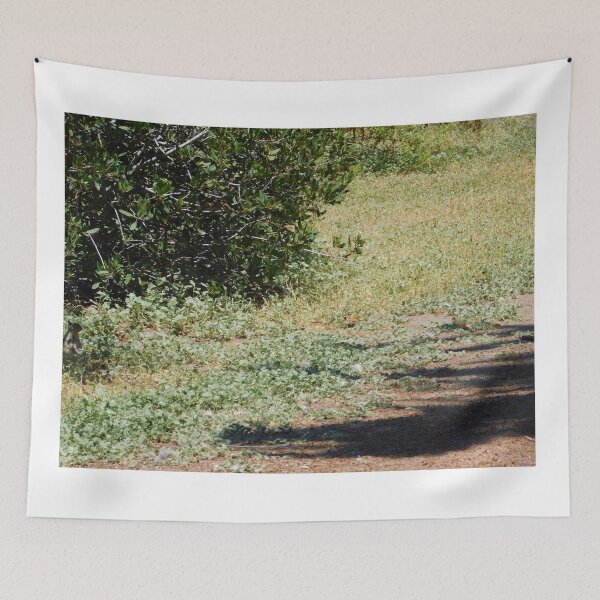 Item preview, Hidden squirrel designed and sold by MChabalaRussell.