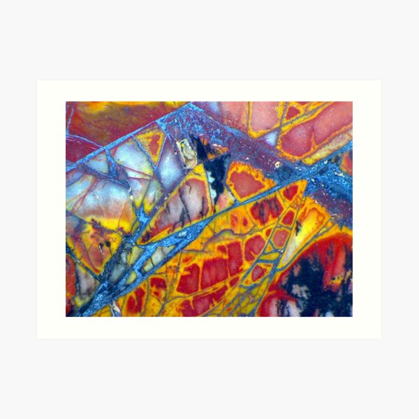 Dragonfly Wing (Cherry Creek Jasper) Art Print