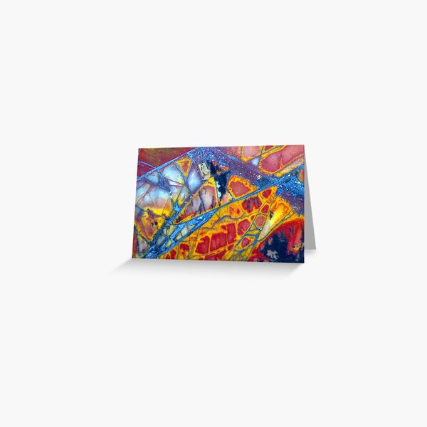 Dragonfly Wing (Cherry Creek Jasper) Greeting Card