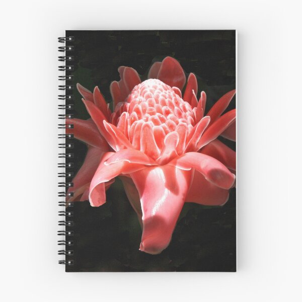 Item preview, Torch Ginger designed and sold by phil decocco.
