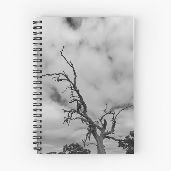 Item preview, Gum Tree, Australia designed and sold by Dean Bailey.