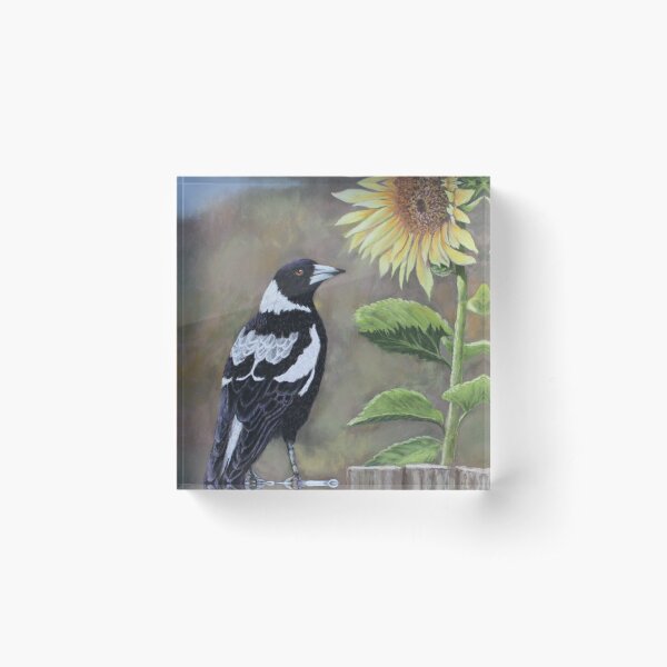 Magpie and Sunflower Acrylic Block