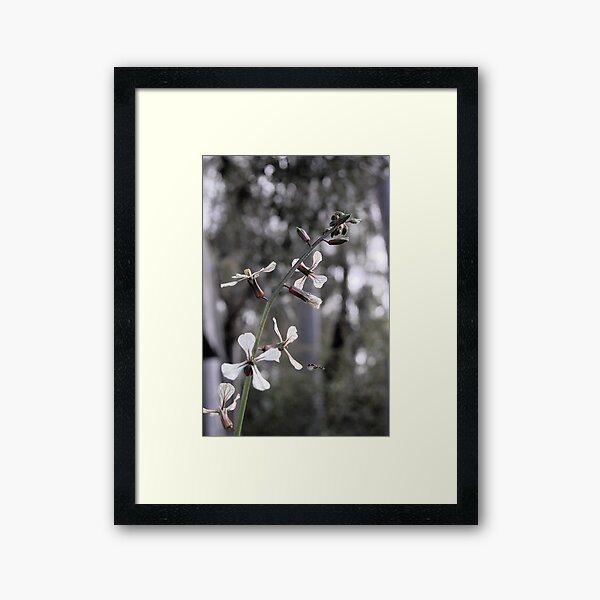 rocket fly Framed Art Print
