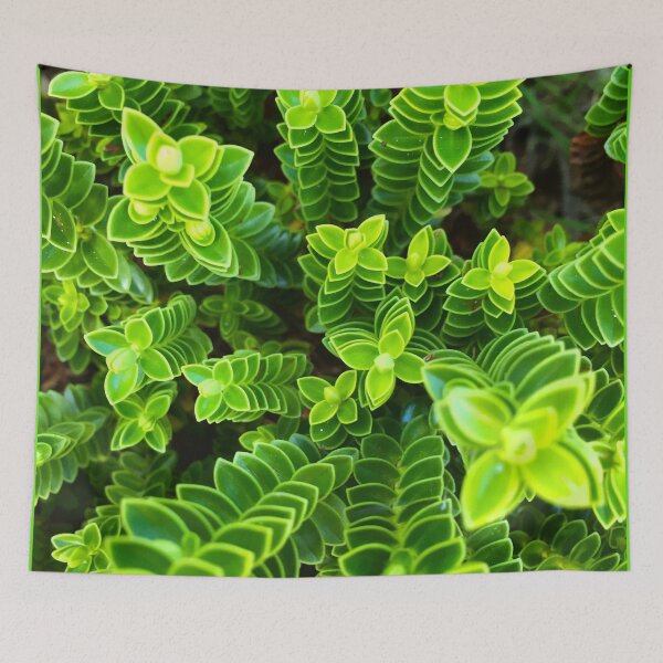 Item preview, Leafness designed and sold by Incendiarius.