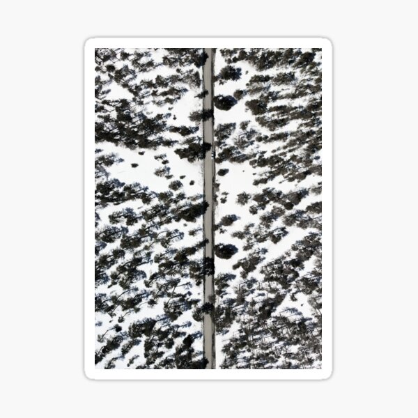 Snow from above Sticker